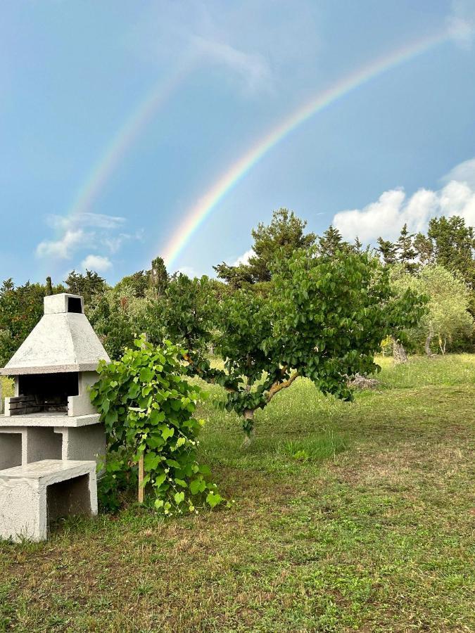 Casa Del Mate Villa อาลเกโร ภายนอก รูปภาพ